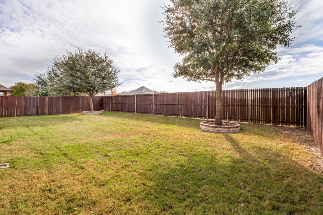 Spacious backyard with fresh sod and privacy fencing