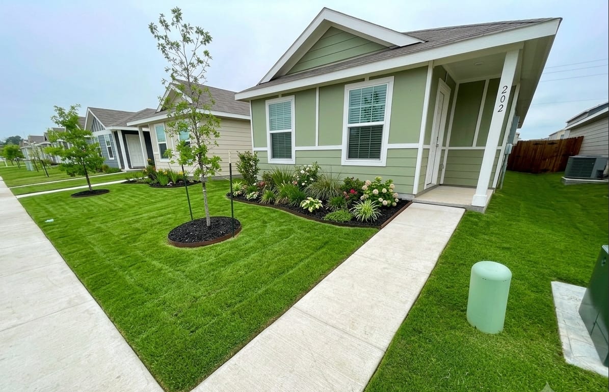 Fresh front-yard landscaping with new sod, tree, and garden bed